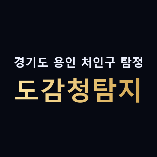경기도 용인 처인구 탐정 도감청탐지 맥가이버