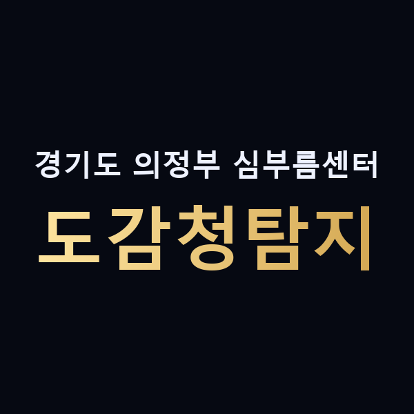 경기도 의정부 심부름센터 도감청탐지 맥가이버