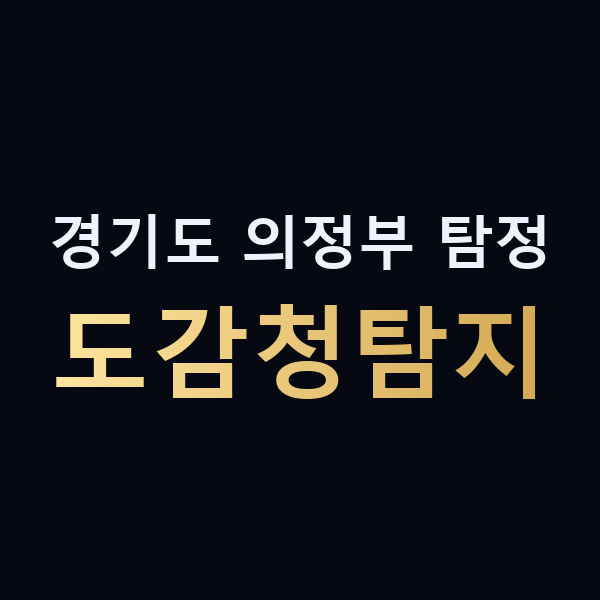 경기도 의정부 탐정 도감청탐지 맥가이버