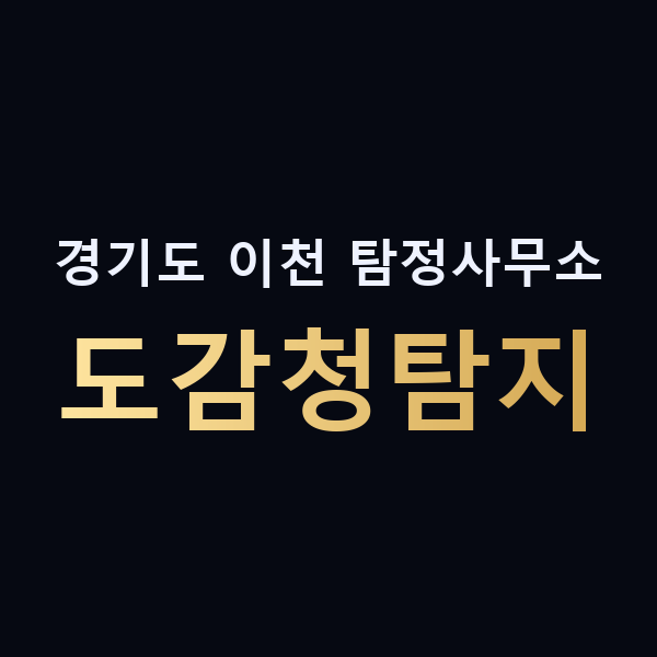 경기도 이천 탐정사무소 도감청탐지 맥가이버
