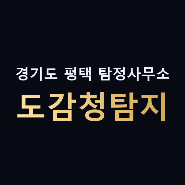 경기도 평택 탐정사무소 도감청탐지 맥가이버
