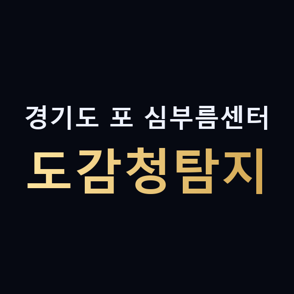 경기도 포 심부름센터 도감청탐지 맥가이버
