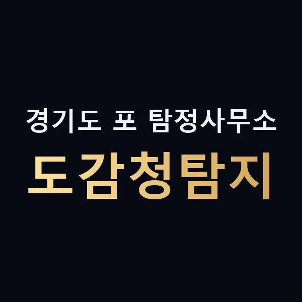 경기도 포 탐정사무소 도감청탐지 맥가이버