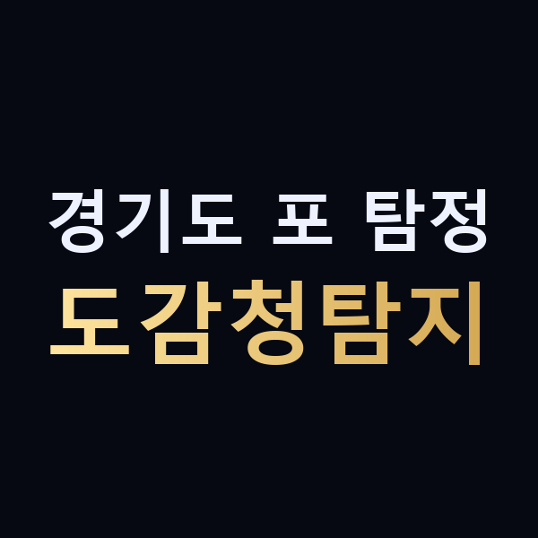 경기도 포 탐정 도감청탐지 맥가이버