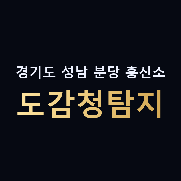 경기도 성남 분당 흥신소 도감청탐지 맥가이버