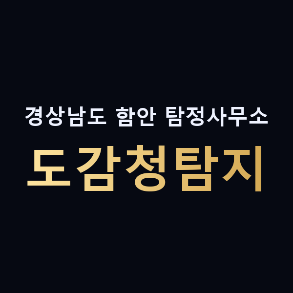 경상남도 함안 탐정사무소 도감청탐지 맥가이버