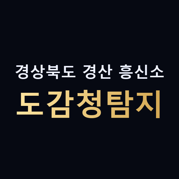 경상북도 경산 흥신소 도감청탐지 맥가이버