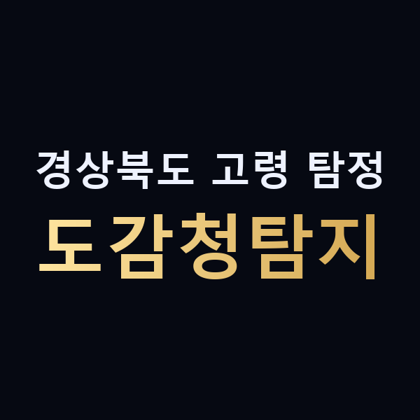 경상북도 고령 탐정 도감청탐지 맥가이버