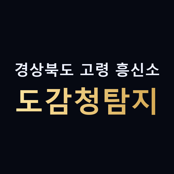 경상북도 고령 흥신소 도감청탐지 맥가이버