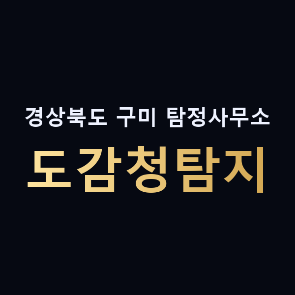 경상북도 구미 탐정사무소 도감청탐지 맥가이버