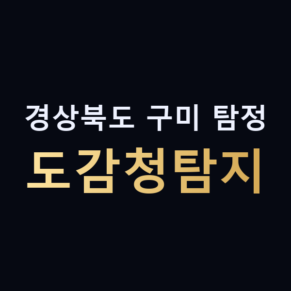 경상북도 구미 탐정 도감청탐지 맥가이버