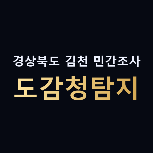 경상북도 김천 민간조사 도감청탐지 맥가이버