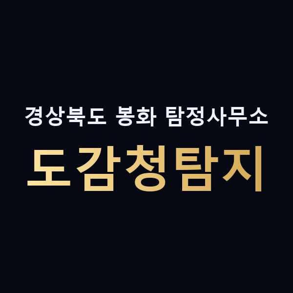 경상북도 봉화 탐정사무소 도감청탐지 맥가이버