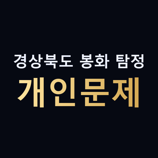 경상북도 봉화 탐정 개인문제 맥가이버