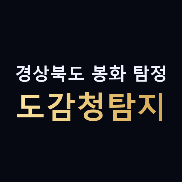 경상북도 봉화 탐정 도감청탐지 맥가이버