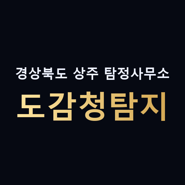 경상북도 상주 탐정사무소 도감청탐지 맥가이버