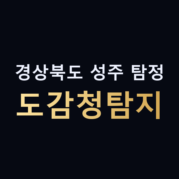 경상북도 성주 탐정 도감청탐지 맥가이버