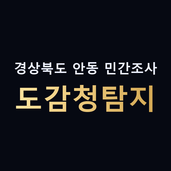 경상북도 안동 민간조사 도감청탐지 맥가이버