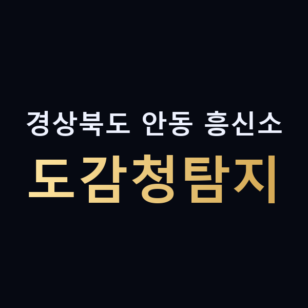 경상북도 안동 흥신소 도감청탐지 맥가이버