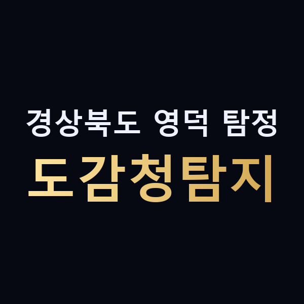 경상북도 영덕 탐정 도감청탐지 맥가이버