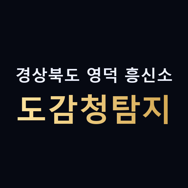 경상북도 영덕 흥신소 도감청탐지 맥가이버
