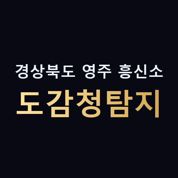 경상북도 영주 흥신소 도감청탐지 맥가이버