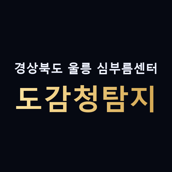 경상북도 울릉 심부름센터 도감청탐지 맥가이버