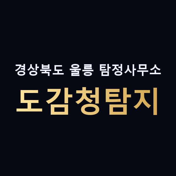 경상북도 울릉 탐정사무소 도감청탐지 맥가이버