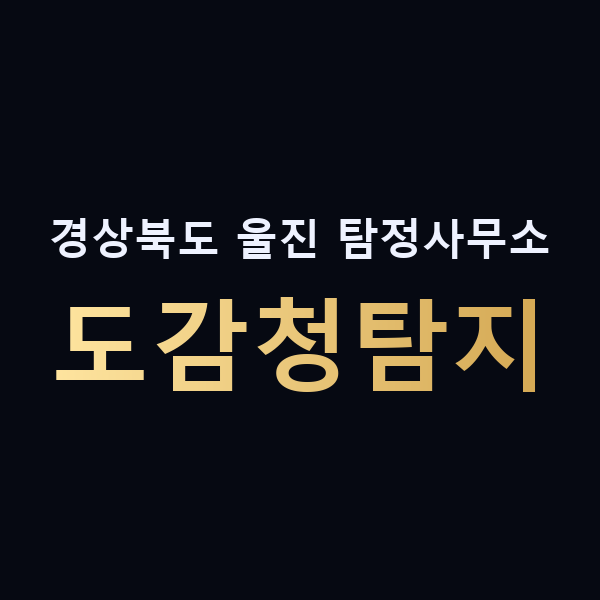 경상북도 울진 탐정사무소 도감청탐지 맥가이버