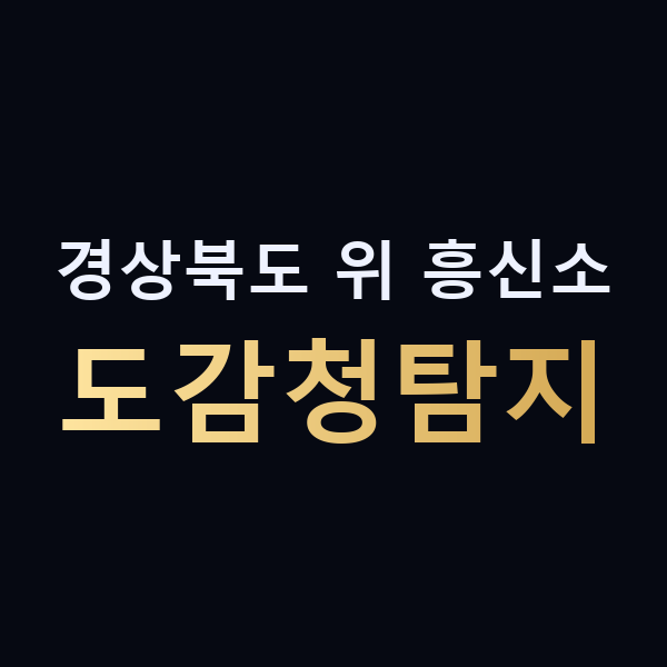 경상북도 위 흥신소 도감청탐지 맥가이버