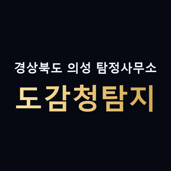 경상북도 의성 탐정사무소 도감청탐지 맥가이버