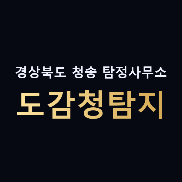경상북도 청송 탐정사무소 도감청탐지 맥가이버