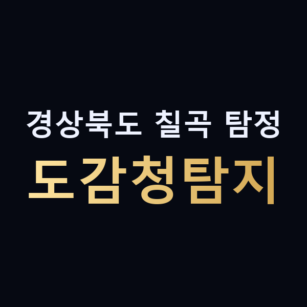 경상북도 칠곡 탐정 도감청탐지 맥가이버