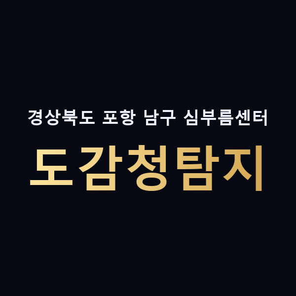 경상북도 포항 남구 심부름센터 도감청탐지 맥가이버