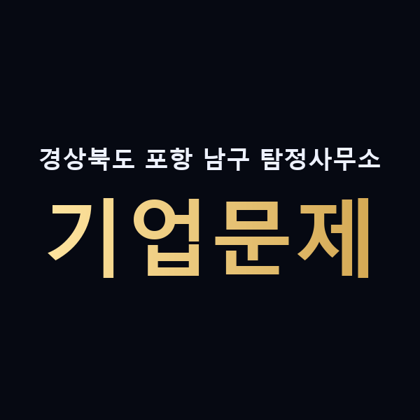 경상북도 포항 남구 탐정사무소 기업문제 맥가이버
