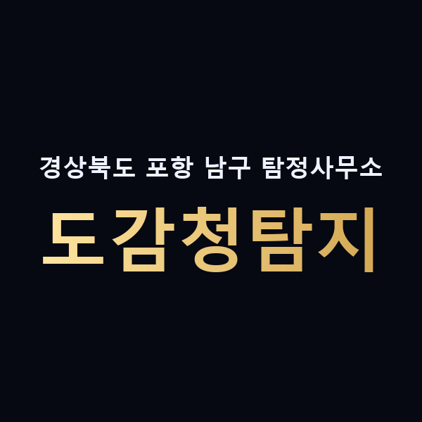 경상북도 포항 남구 탐정사무소 도감청탐지 맥가이버