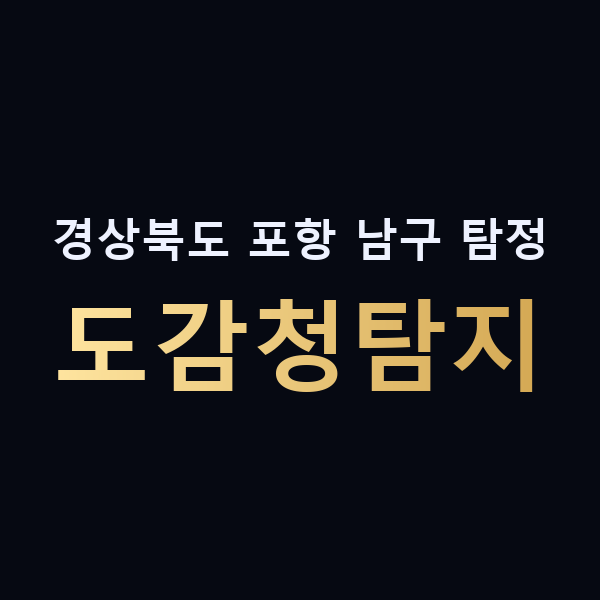 경상북도 포항 남구 탐정 도감청탐지 맥가이버