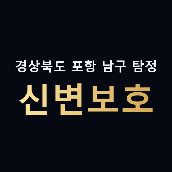 경상북도 포항 남구 탐정 신변보호 맥가이버