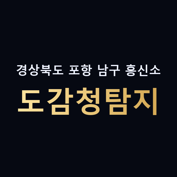 경상북도 포항 남구 흥신소 도감청탐지 맥가이버