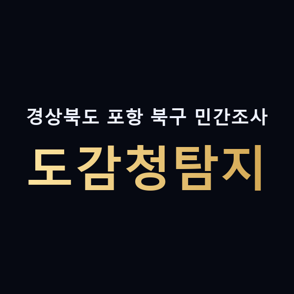 경상북도 포항 북구 민간조사 도감청탐지 맥가이버
