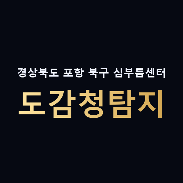 경상북도 포항 북구 심부름센터 도감청탐지 맥가이버
