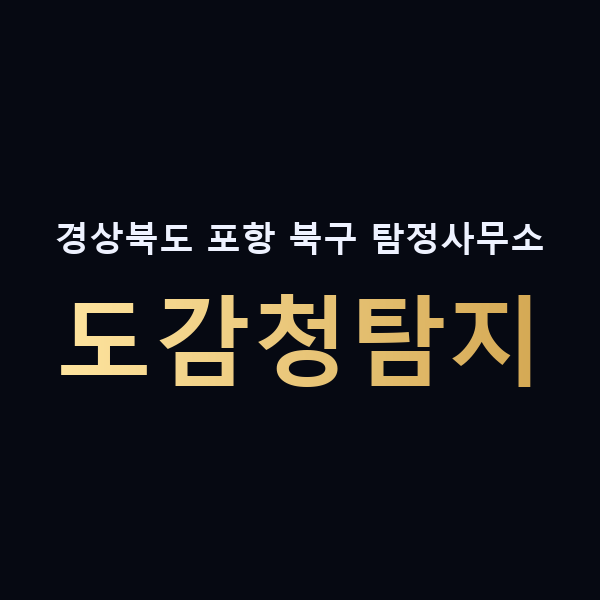 경상북도 포항 북구 탐정사무소 도감청탐지 맥가이버