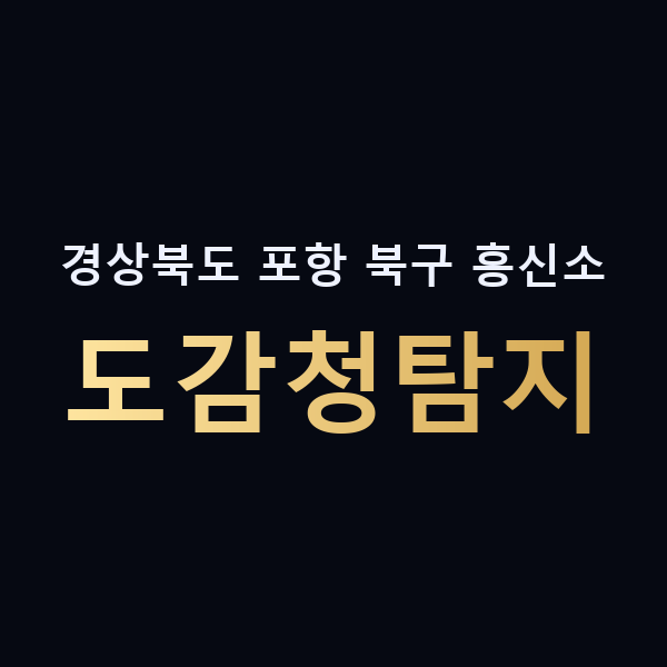 경상북도 포항 북구 흥신소 도감청탐지 맥가이버