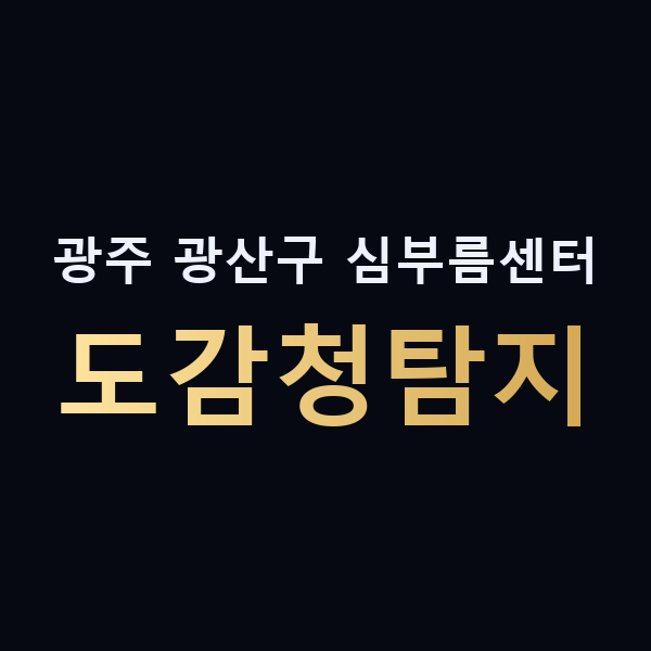 광주 광산구 심부름센터 도감청탐지 맥가이버