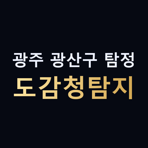 광주 광산구 탐정 도감청탐지 맥가이버