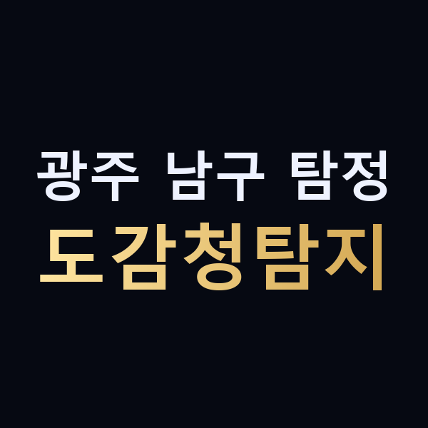 광주 남구 탐정 도감청탐지 맥가이버