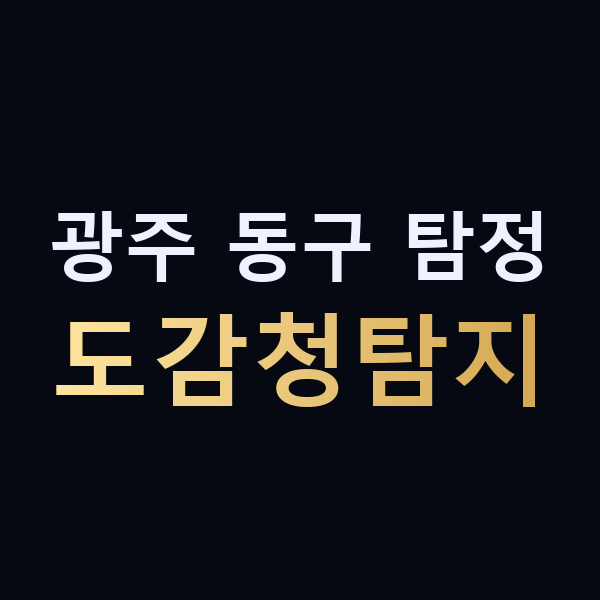 광주 동구 탐정 도감청탐지 맥가이버