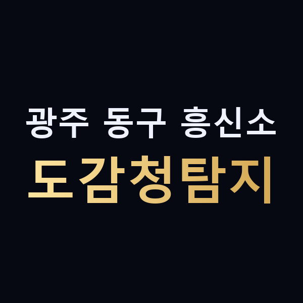 광주 동구 흥신소 도감청탐지 맥가이버
