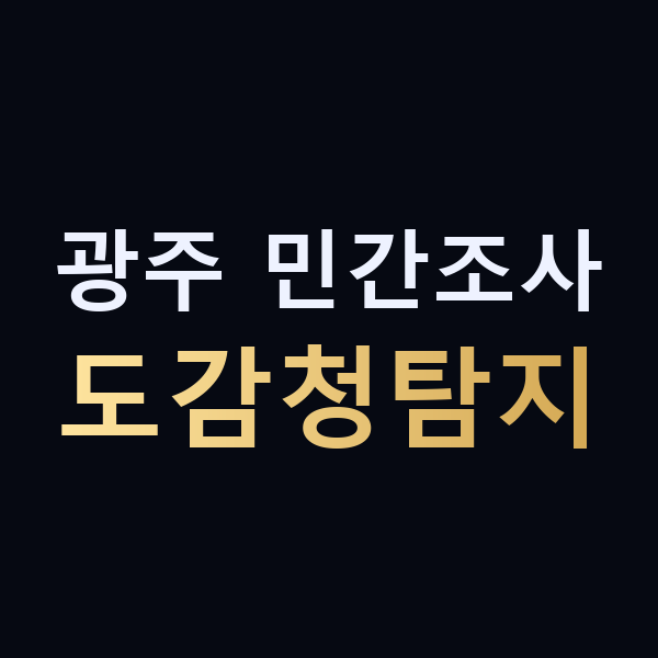 광주 민간조사 도감청탐지 맥가이버