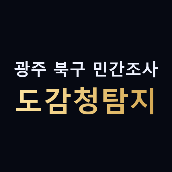 광주 북구 민간조사 도감청탐지 맥가이버